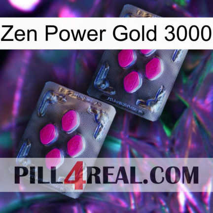 Zen Power Gold 3000 01